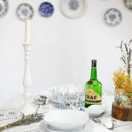 Spacious Charming Apt In Downtown. Casa Da Baixa. *