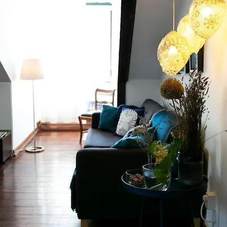Spacious Charming Apt In Downtown. Casa Da Baixa. *